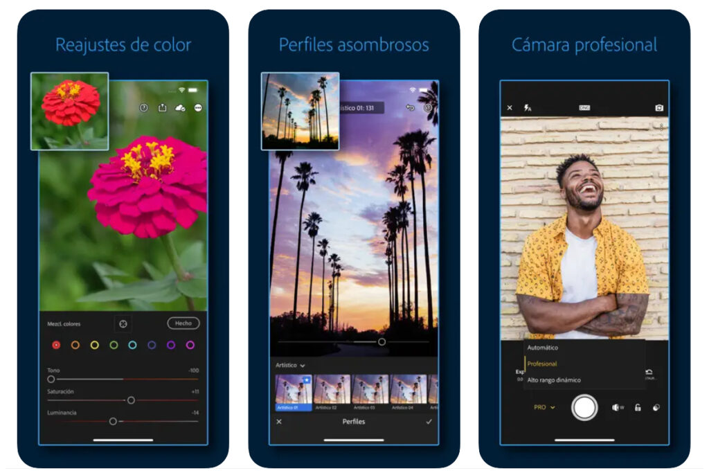 Captura de pantalla de la aplicación de fotografía Adobe Lightroom en un celular.