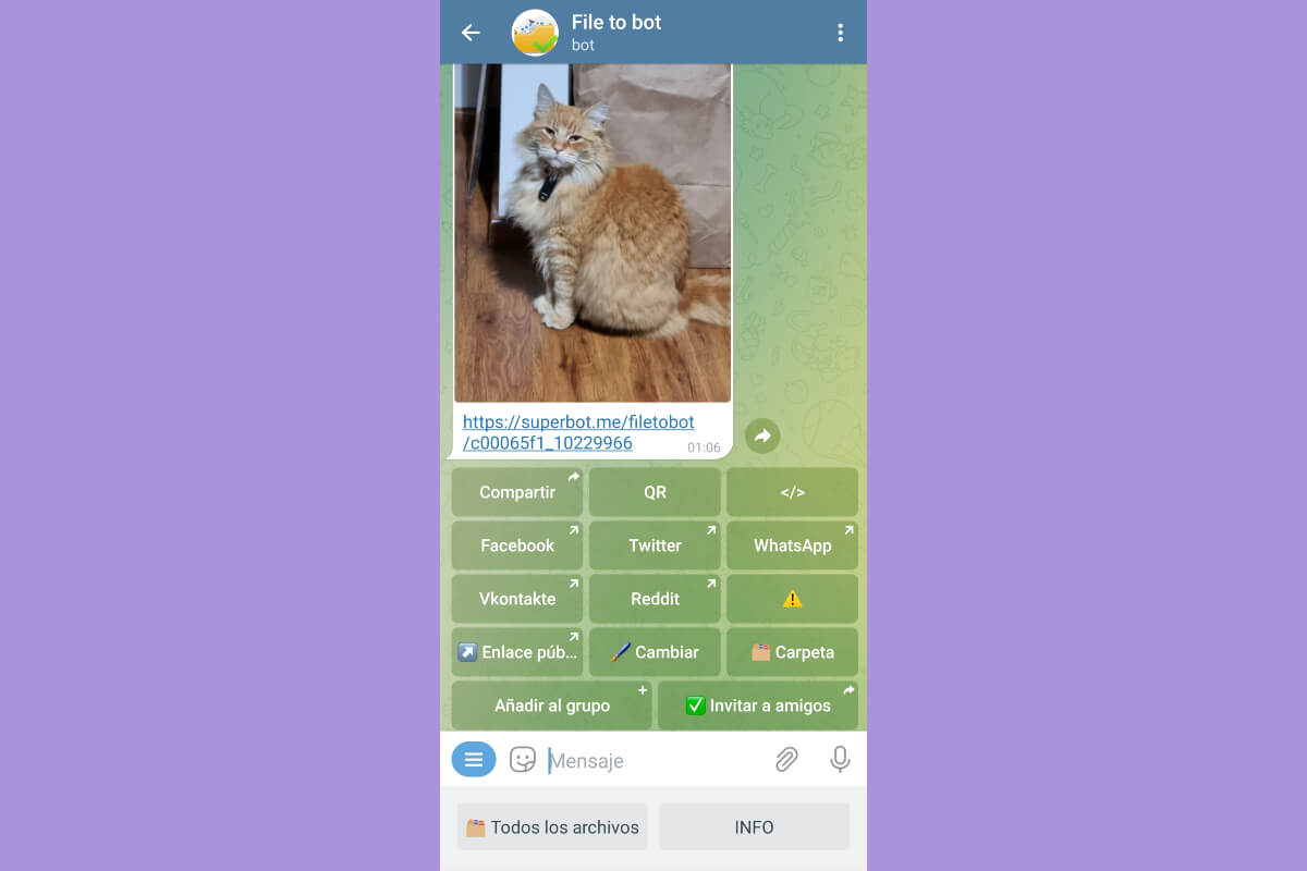 File to Bot en Telegram.