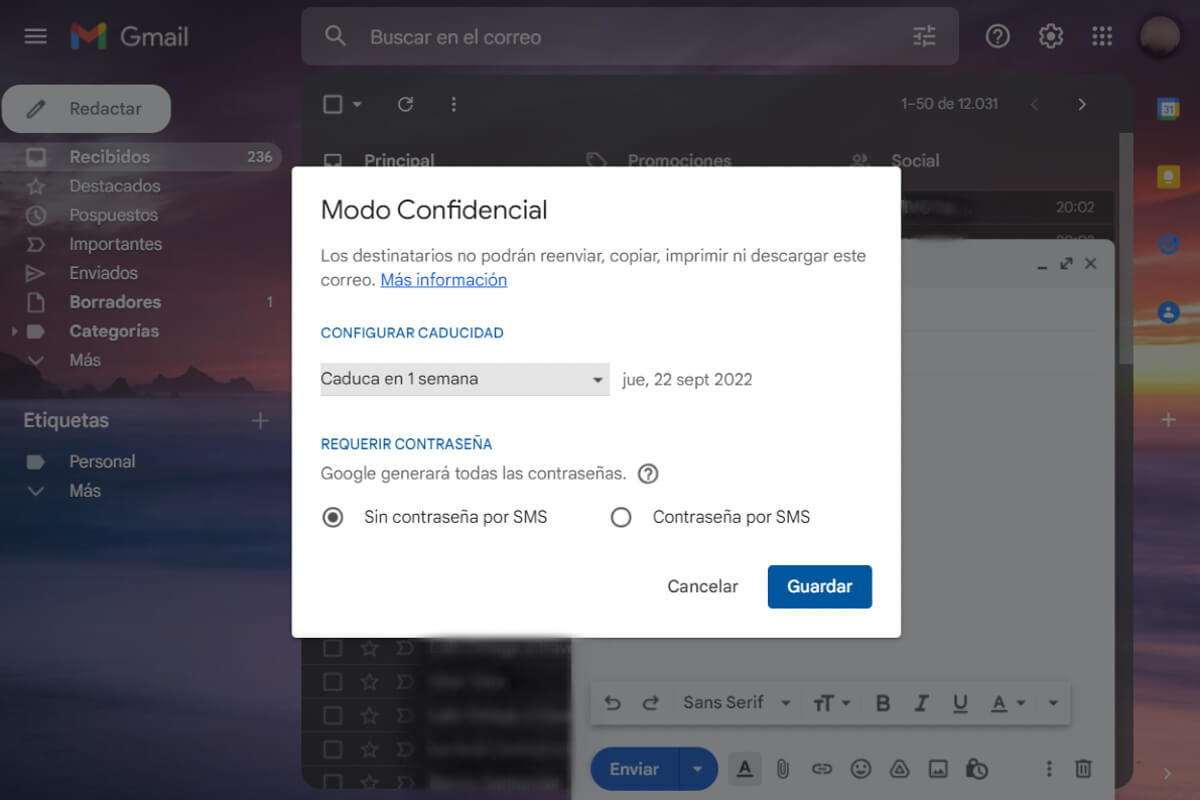 Captura de pantalla de Gmail en la segunda configuración del mensaje confidencial.