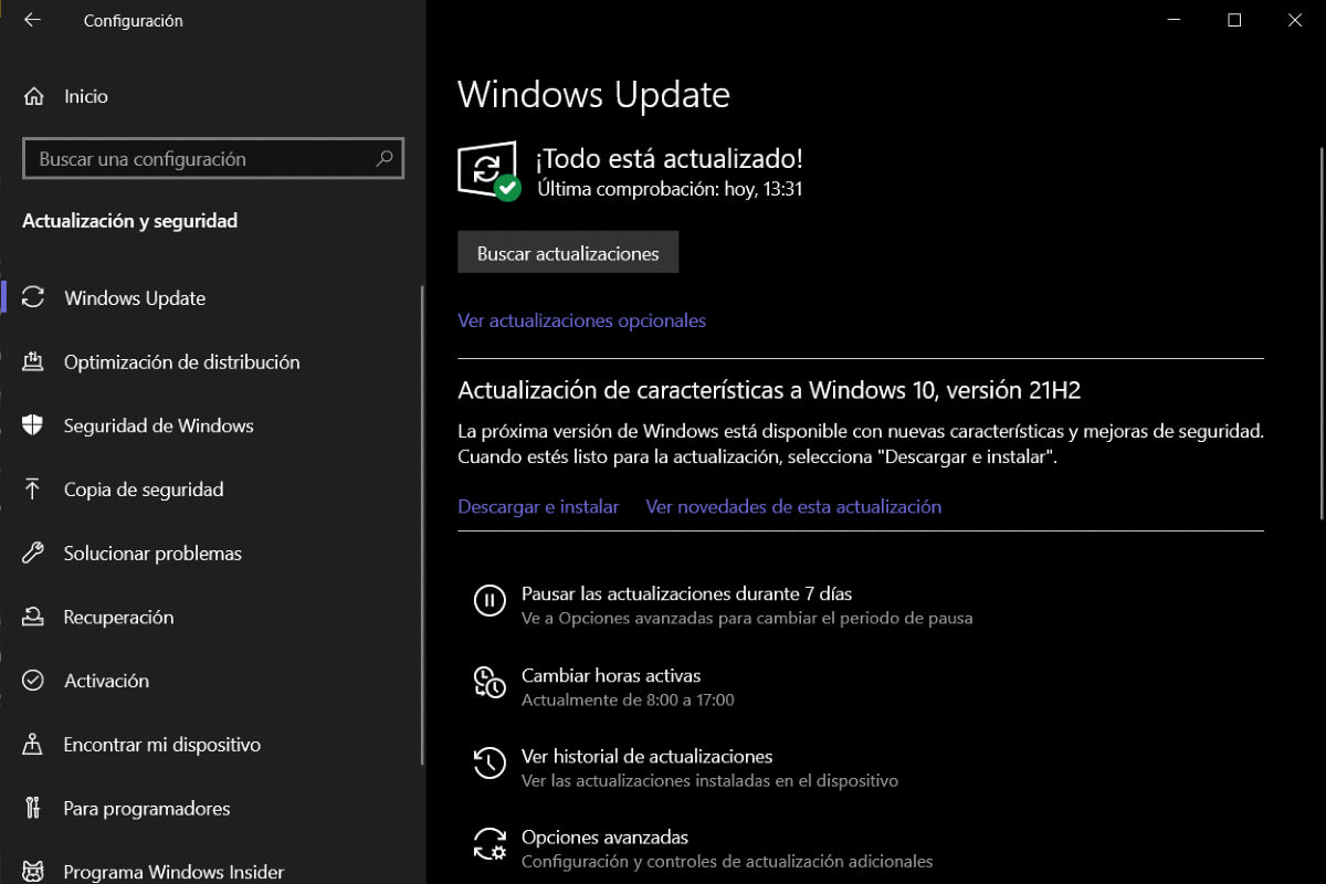 Captura de pantalla de Windows Update.