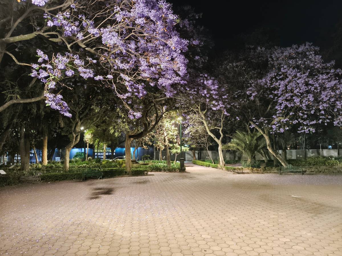 Ciudad de México. Foto tomada con el Realme 14 Pro 5G.
