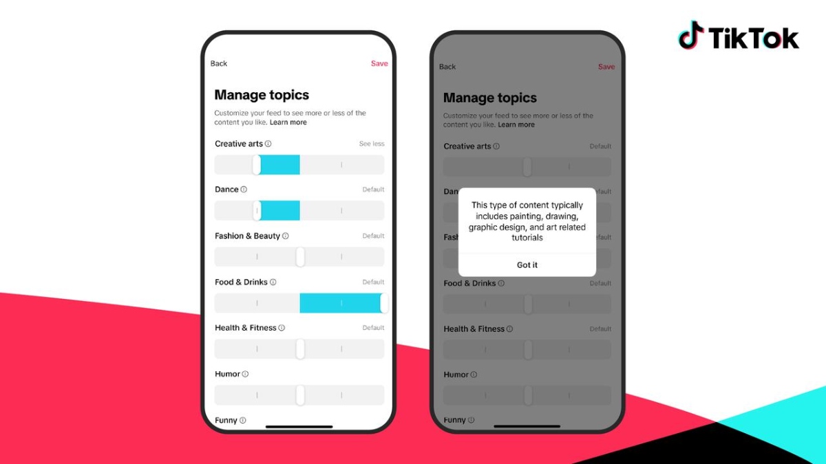 Herramienta de administración de temas de TikTok.