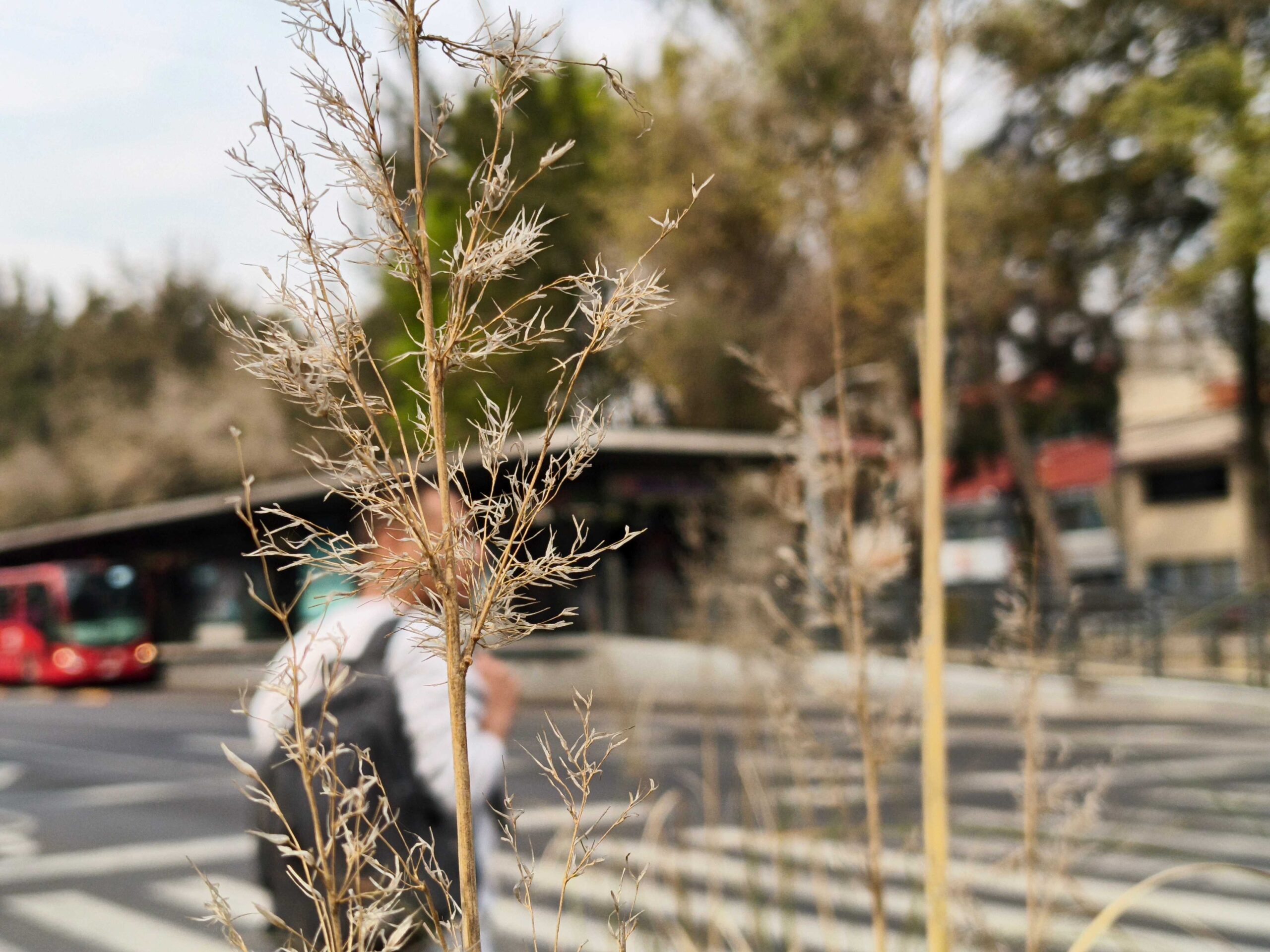 Foto tomada con el TECNO POVA 7 Pro 5G.