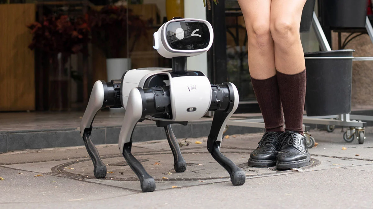 Vbot Companion Robotic Dog en exteriores. 